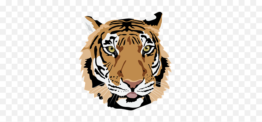 Free Tiger Animal Vectors - Siberian Tiger Png,Bengal Tiger Icon