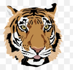 Free Tiger Animal Vectors - Siberian Tiger Png,Bengal Tiger Icon