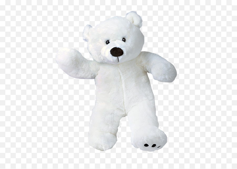 Paws The Polar Bear 16 - White Teddy Bear Png,Polar Bear Png