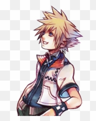 Mel Khux Spoilers - Roxas Art png
