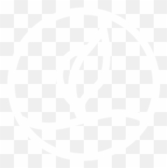 Lw - CoreValueIcons03 Lake Winnie Amusement Park u0026 Water Language png