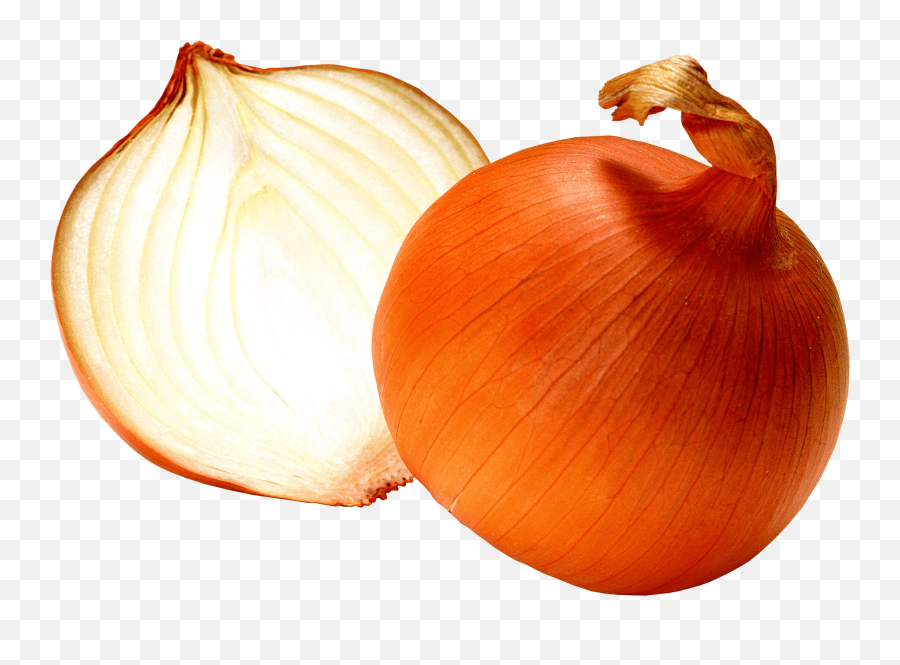 Onion Png Image - Onion Transparent Png,Onion Png