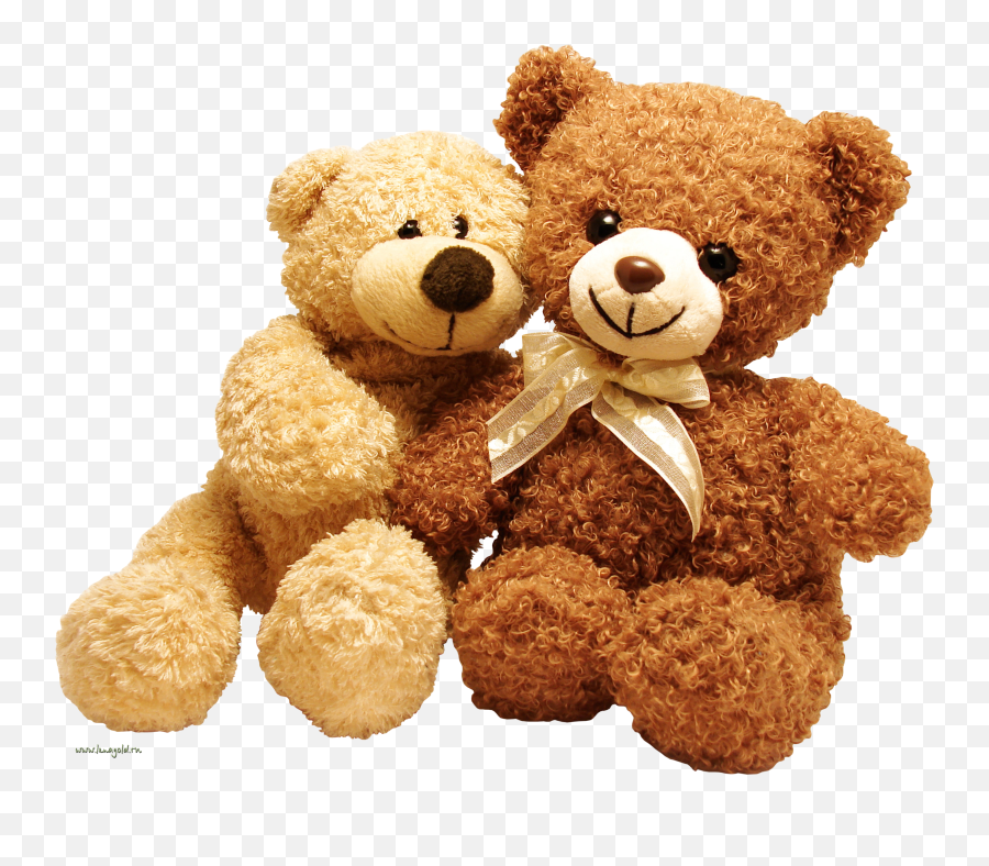Two Cute Png Teddy Bears - Teddy Bear Png Full Size Png Teddy Bear Doll Png,Bear Png