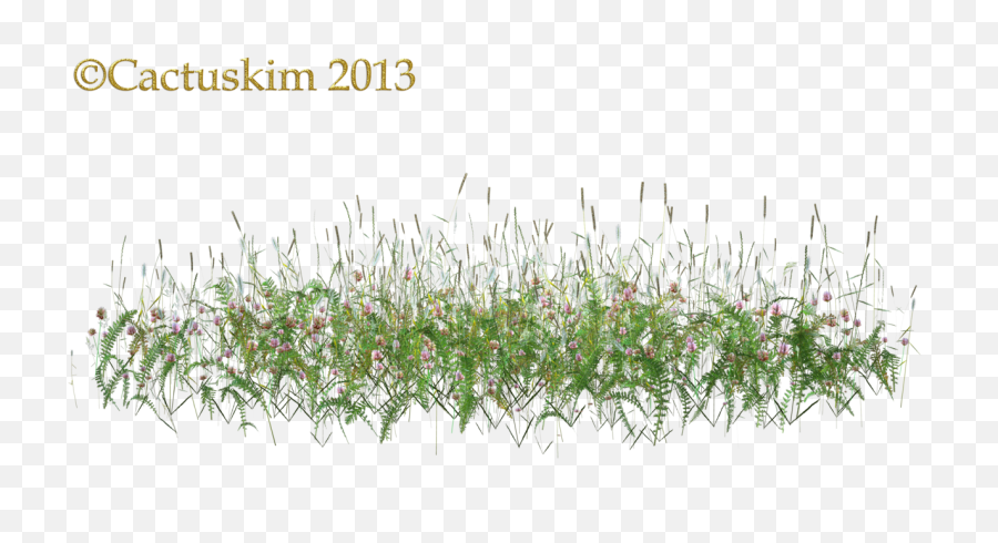 Png Of Some Wildflowers - Flowers In Grass Png,Wild Grass Png