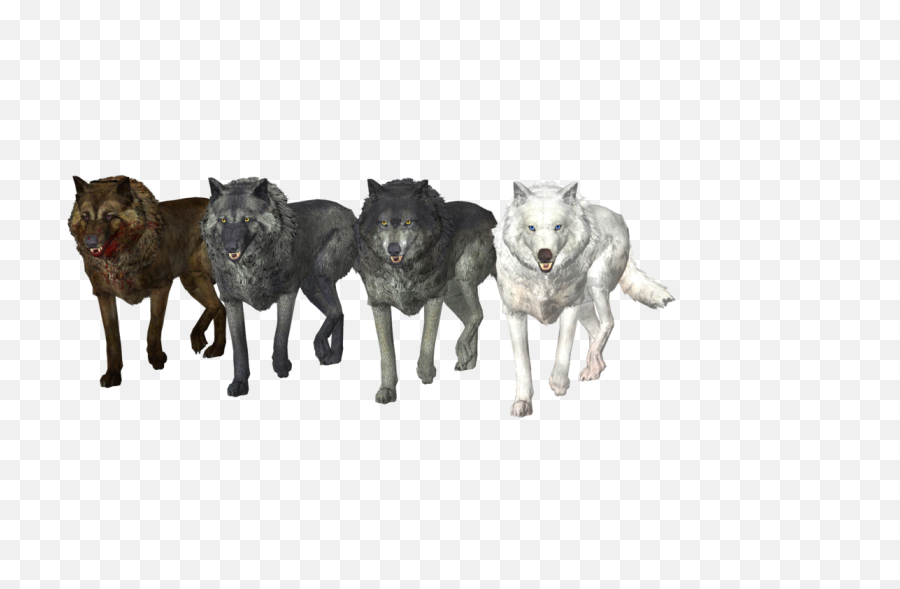 Download Wolf Pack Free Png Image - Wolf Pack Png,Wolves Png