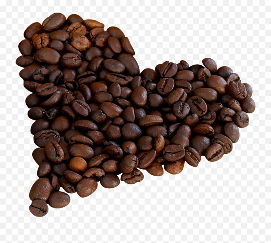 Single Coffee Bean Png Picture - Coffee Beans Png,Bean Png