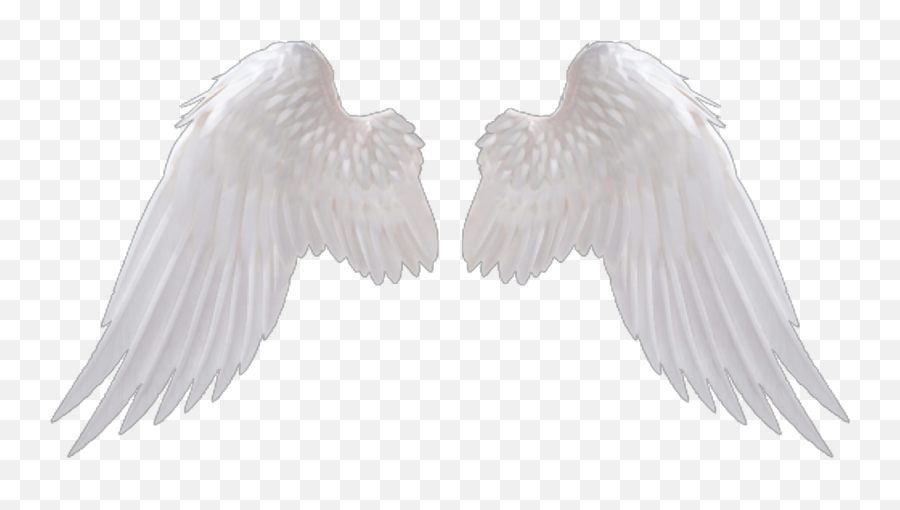 White Wing Png 5 Image - Transparent Background Angel Wings Png,Wing Png