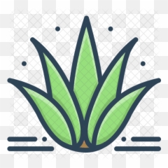 Agave Icon Of Colored Outline Style - Agave Vector Png,Agave Png