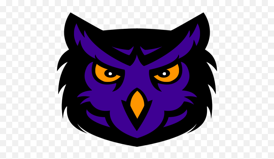Owl Sports Logo - Logodix Owl Sports Logo Transparent Png,Owl Logo
