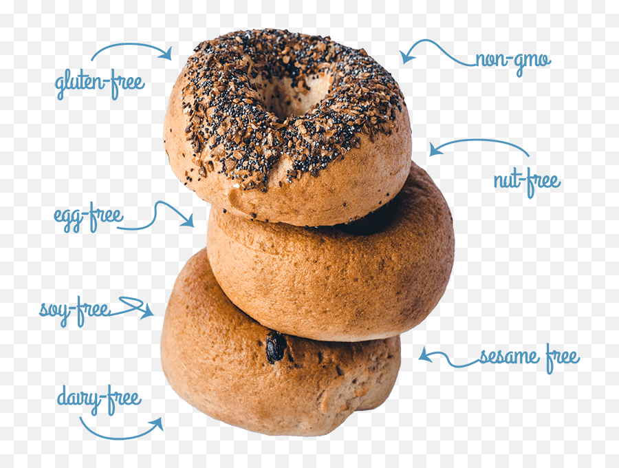 Welcome The Greater Knead Gluten Free Bagels - Greater Knead Bagels Png,Bagel Transparent