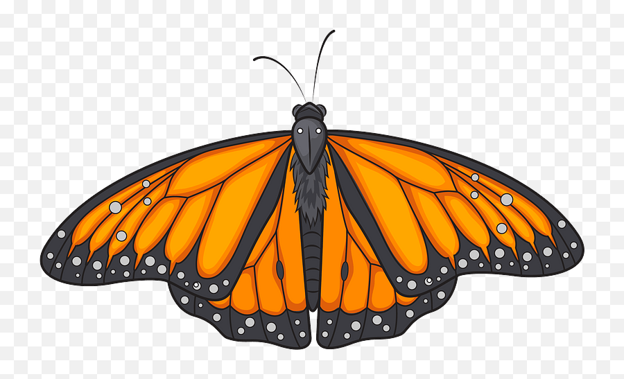 Monarch Butterfly Clipart - Monarch Butterfly Png,Monarch Png