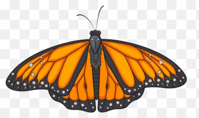 Monarch Butterfly Clipart - Monarch Butterfly Png,Monarch Png