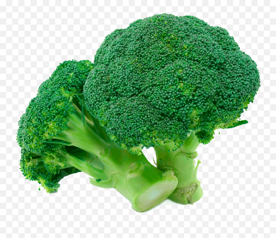 Organic Broccoli - Green Broccoli Png,Broccoli Png