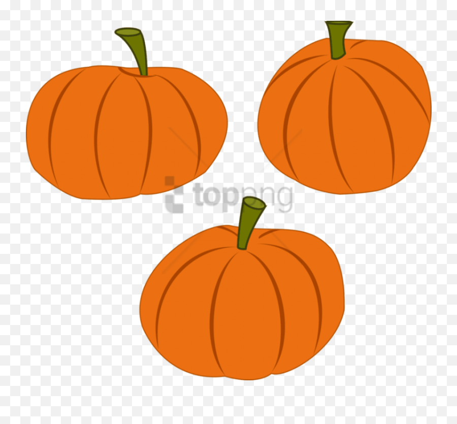 Vector Pumpkin Transparent Png Image - Transparent Pumpkin Vector Png,Pumpkin Vector Png