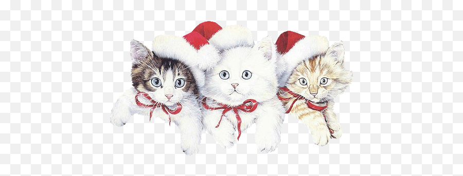 Index Of Userstbalzetopperwinter - Free Printable Christmas Cat Stationery Png,Santa Hat Transparent Gif