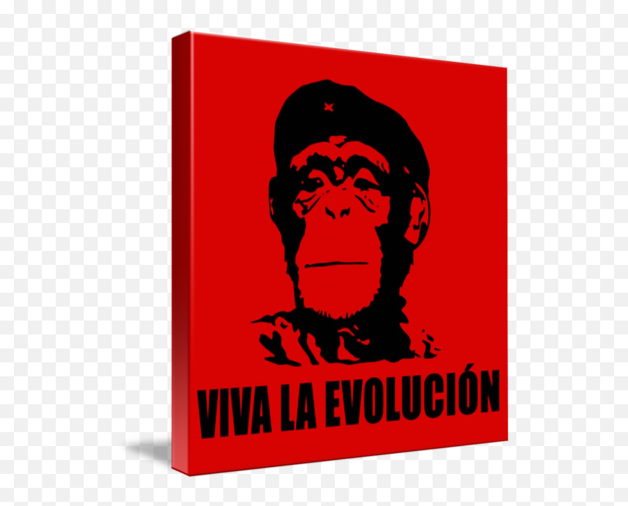 Viva La Evolucion Che Guevara Style Darwin Evoluti By - Che Viva La Evolucion Png,Che Guevara Png