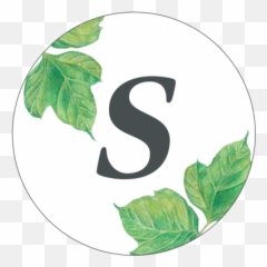 Gulf Coast Southerly - Illustration png