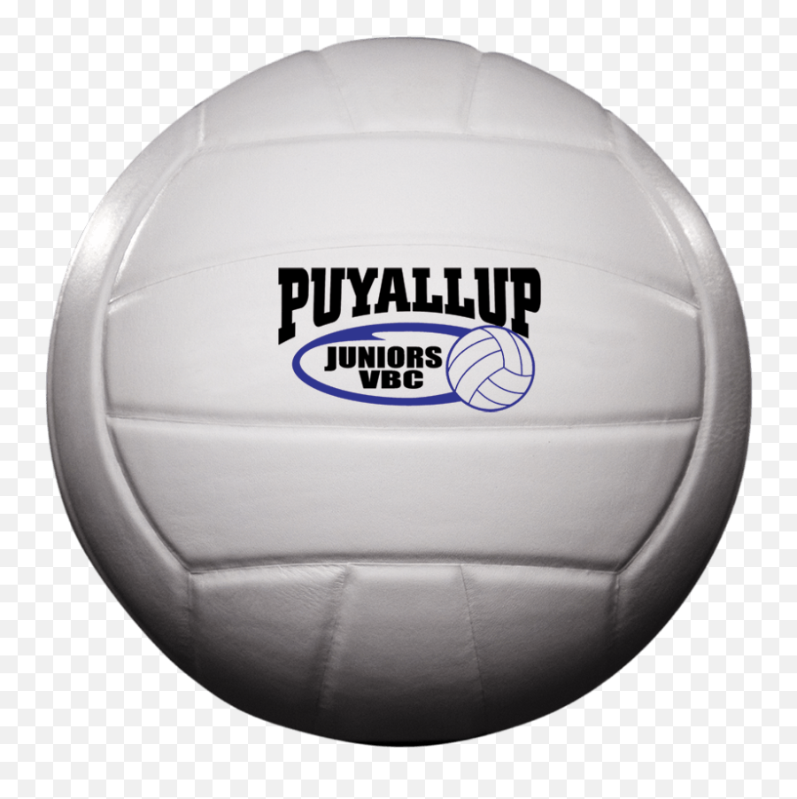 Volleyball Png Image File