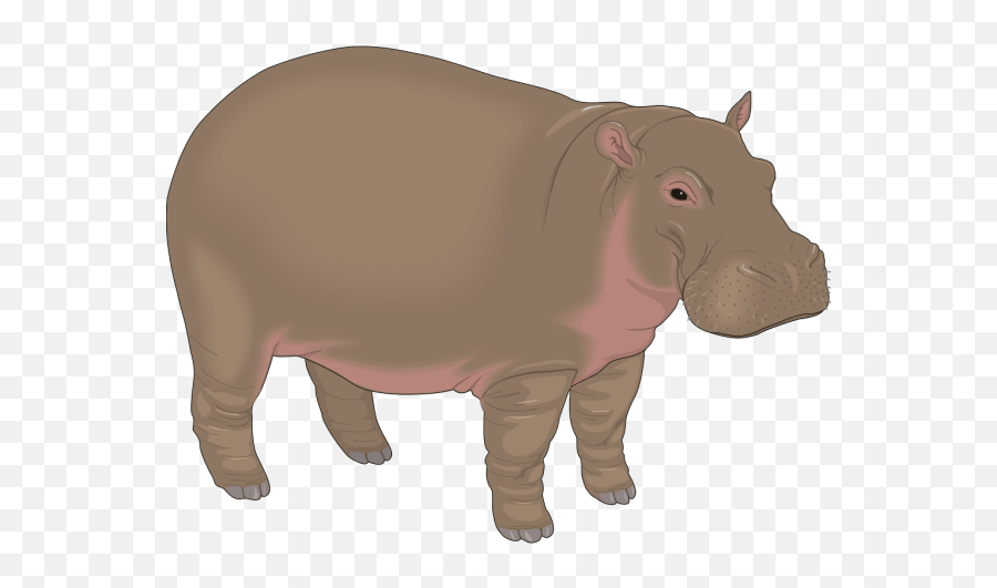 Hippopotamus 3 Png Svg Clip Art For Web - Download Clip Art Hippo Clip Art,Gears Of War 3 Icon