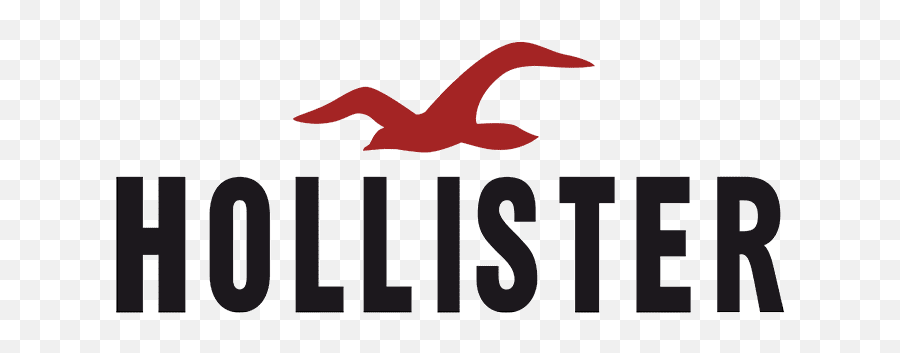 Hollister Logo - Hollister Png,Google Logo Design