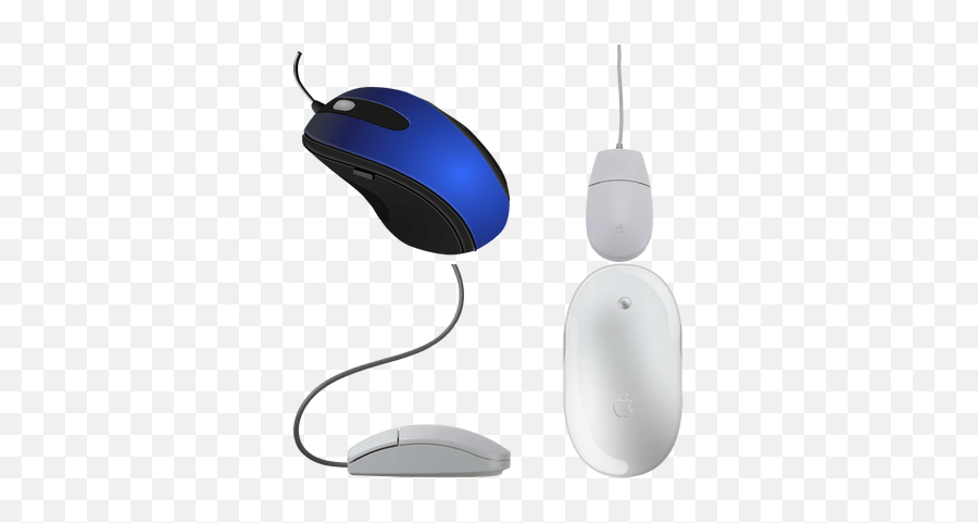 Computer Mice Transparent Png Images - Stickpng Mouse,Computer Mouse Transparent