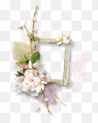 Download Hd Immagine Buongiorno Jw Org Transparent Png Image - Ti Condivido It Festa Della Mamma,Porg Png