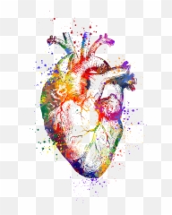Heart Anatomy Art Colorful Watercolor Anatomical Surgery Gift Medical Shower Curtain - png