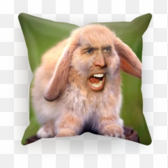 Face - Nicolas Cage Rabbit Png,Nicolas Cage Png