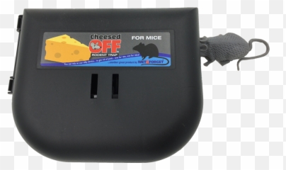 Cheesed Off For Mice Mouse Control Rodent U2013 Wet - Mp3 Player Png,Rats Png