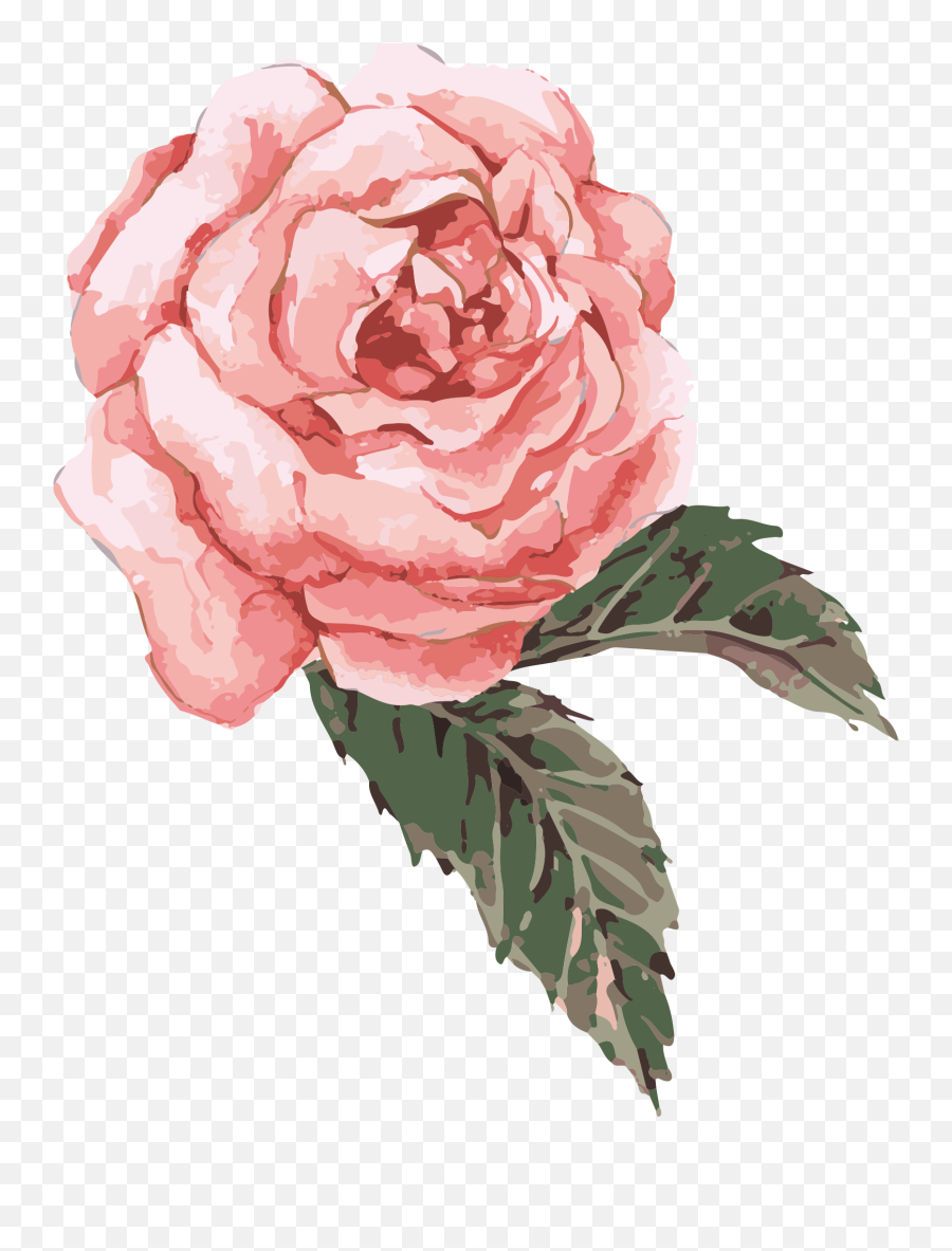 Clip Art Transparent Watercolor Roses - Pink Watercolor Flower Transparent Png,Rose Transparent