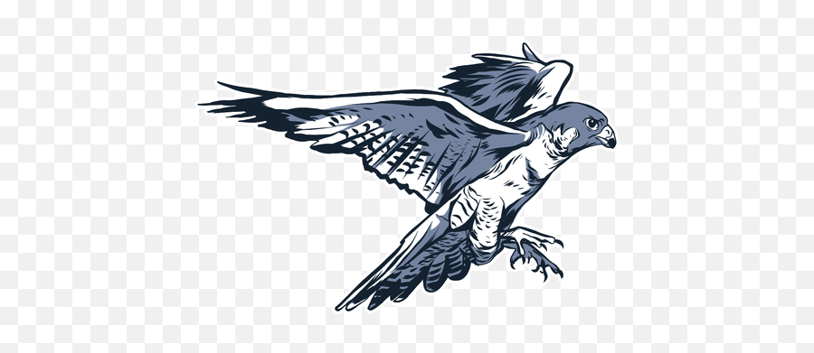 Falcon Wing Beak Illustration - Transparent Png U0026 Svg Vector Cockatiel,Falcon Png