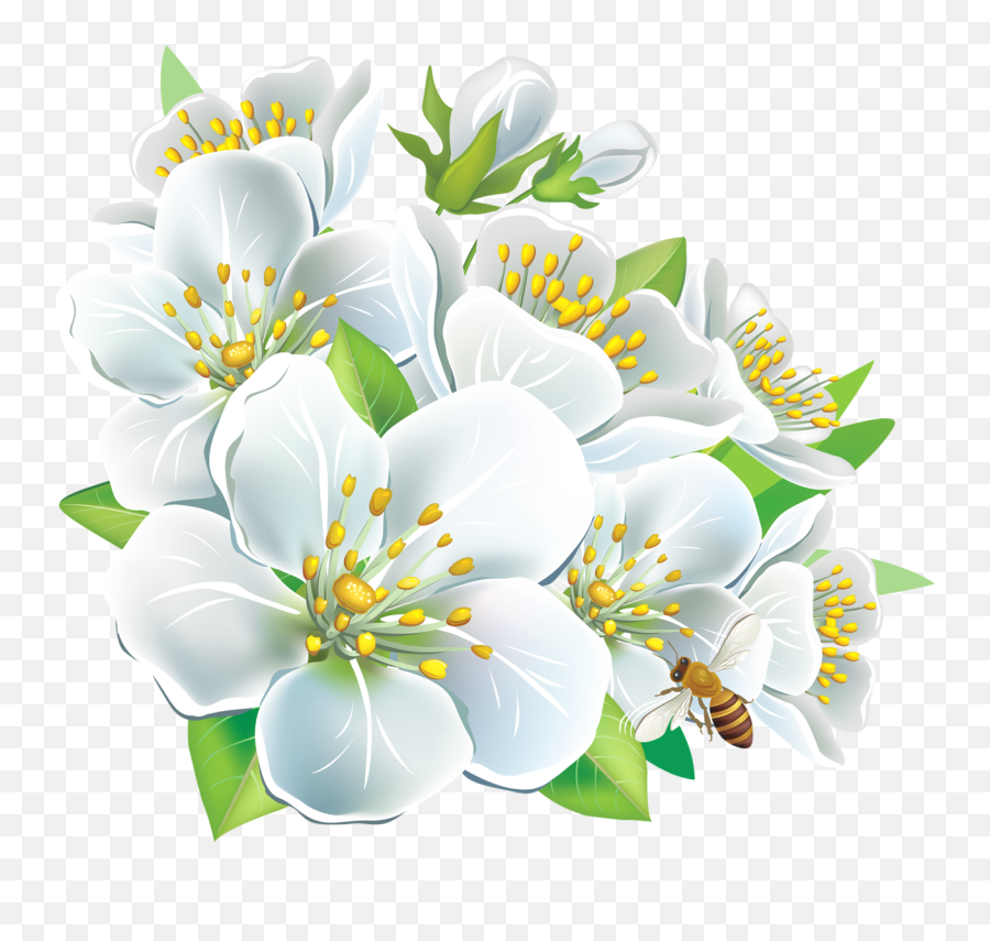 Library Of Wallpaper Flowers Free Download Png Files - White Flowers In Png,Png Wallpapers