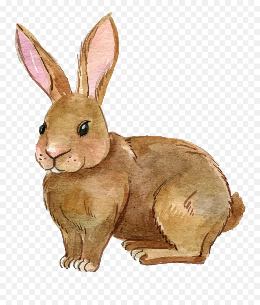 Rabbit Png Transparent Free Images - Rabbit Clipart Png,Rabbit Transparent