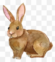 Rabbit Png Transparent Free Images - Clipart