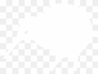 Kiwi Bird Transparent Png Image - White