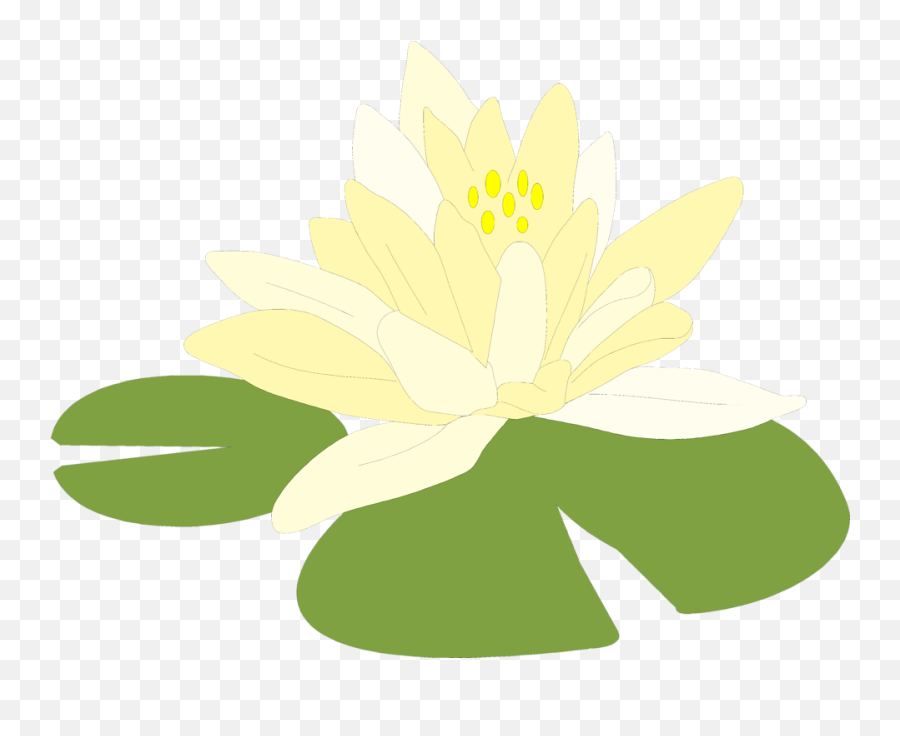 Free Clipart Transparent Background - Lily Pad Transparent Background Png,Lily Transparent Background