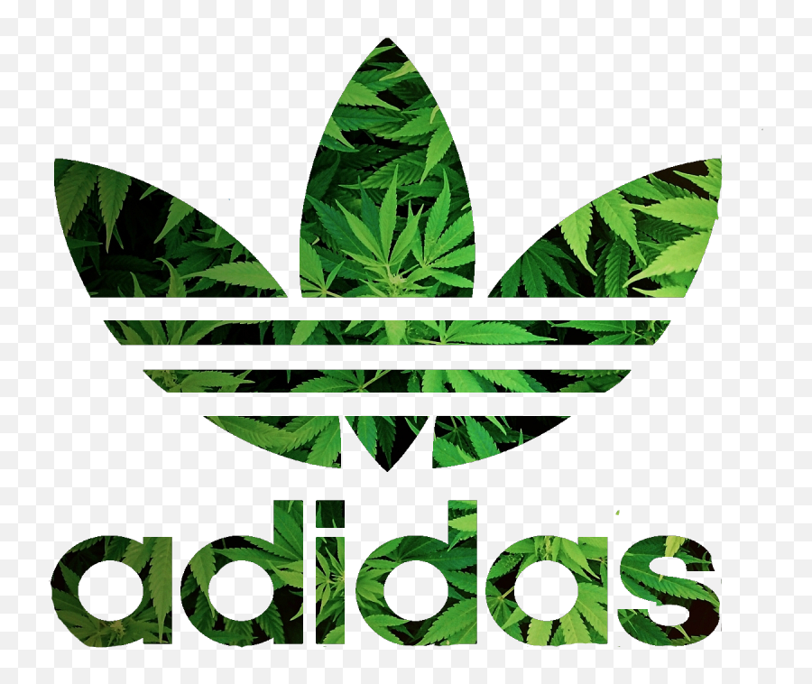 Adidas Logo For Dls Off - Roblox T Shirt Png,Addidas Logo