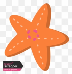 Summer Splash Illustrations 1 Seastar 4 Graphic By Pixel - Starfish Png,Sea Star Png
