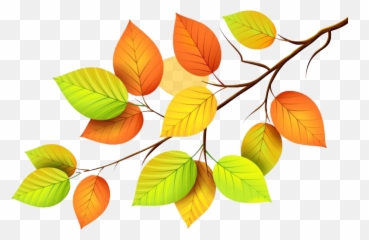 Download Green Leaf Png Picture - Leaves Transparent Images Of