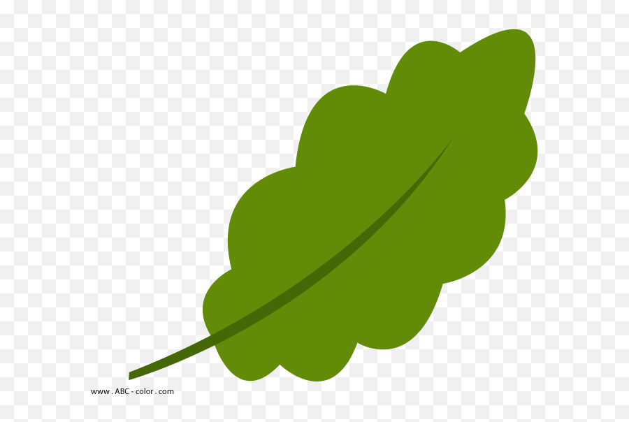 Oak Leaf Outline Clipart - Clip Art Bay Png,Leaf Outline Png