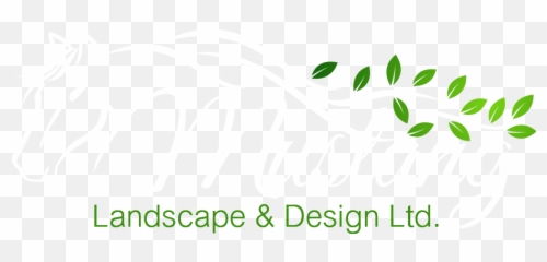Mustang Landscape Design - Calligraphy Png,Mustang Logo Png