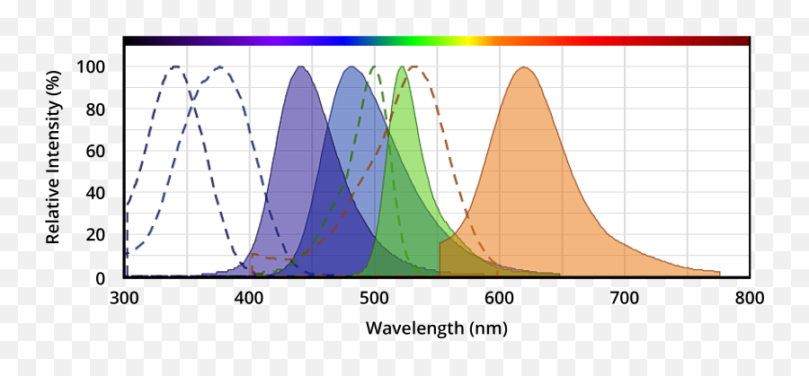 Spectrum Viewer Aat Bioquest - Diagram Png,Wavelength Png