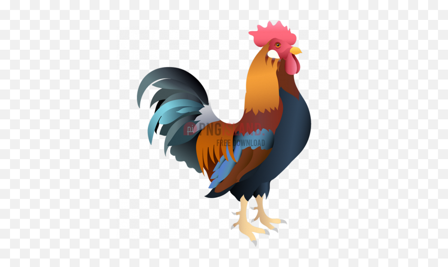 Cock Chicken Rooster Png Image With Transparent Background - Desenho Png Animais Galinha,Chicken Transparent Background