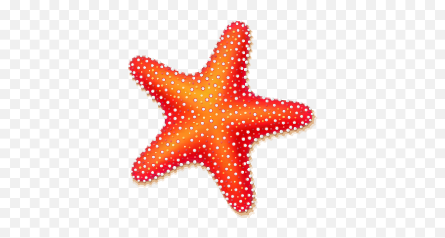 Download Starfish Clipart Best - Starfish Clipart Png,Starfish Clipart Transparent Background