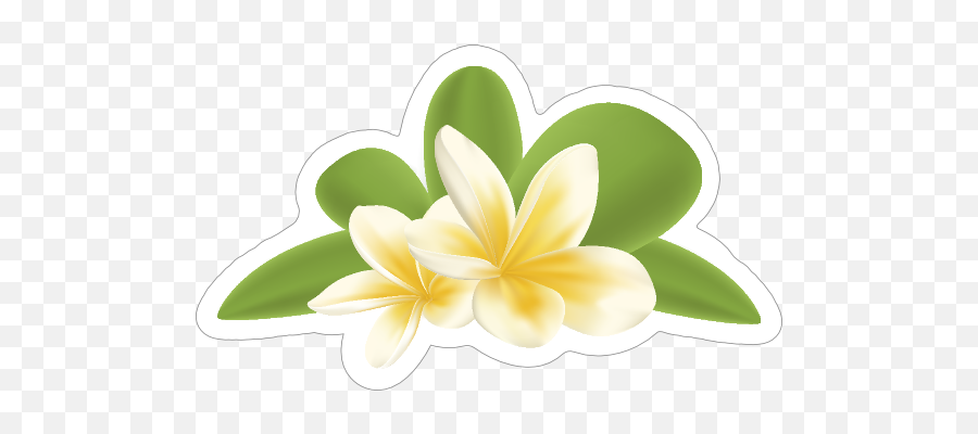 Awesome Plumeria Flower Sticker - Lovely Png,Plumeria Png