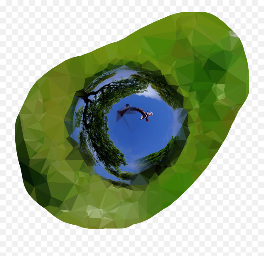 Download Aguacate Sticker - Reflection Full Size Png Image Art,Aguacate Png
