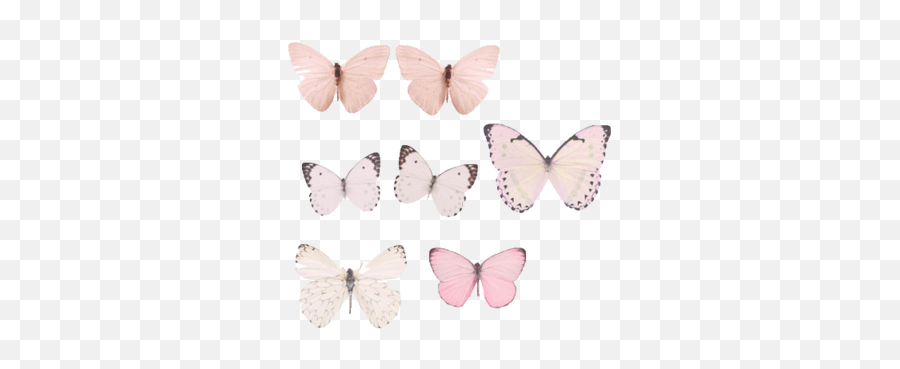 Collection Of Free Transparent Butterfly 1590589 - Png Pastel Blue Butterflies Aesthetic,Pink Butterfly Png