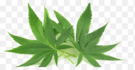 Cbd Good For High Blood Pressure - Cannabidiol png