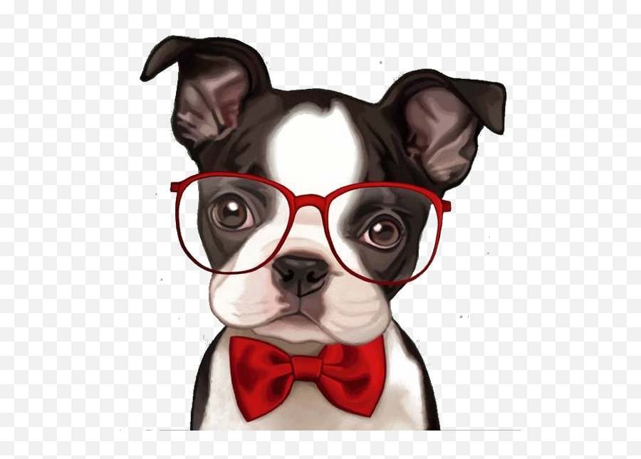 Bulldog Boston Pug French Bichon Frise Terrier Clipart - Cute Cartoon Boston Terrier Png,Boston Terrier Png