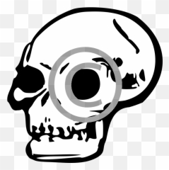 Skull Png U2013 Tigerstock - Skull Clip Art,Png Skull